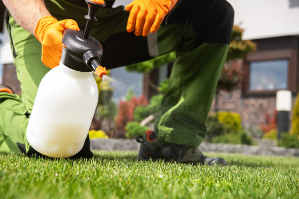 Bird Control in Oatfield, OR