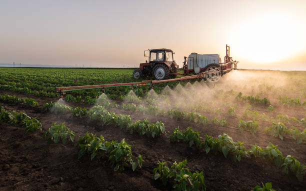 Best Pest Prevention Services  in Oatfield, OR