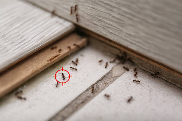 Pest Control Cost in Oatfield, OR