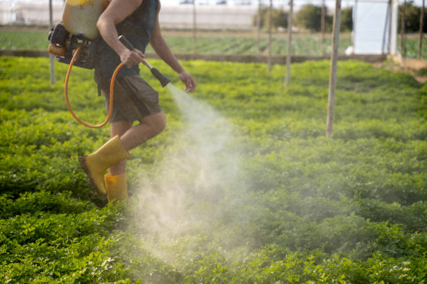 Best Best Pest Control Near Me  in Oatfield, OR