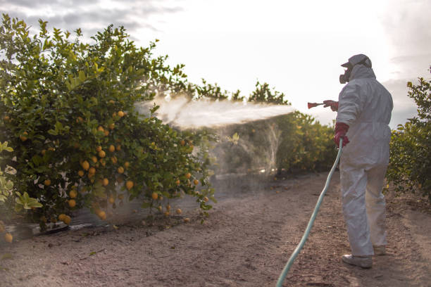 Best Exterminator Services  in Oatfield, OR
