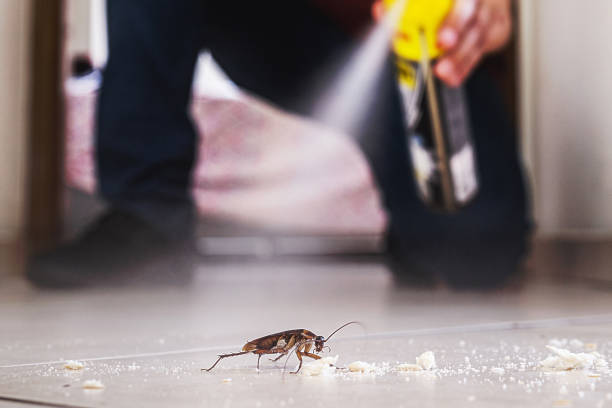 Best Emergency Pest Control  in Oatfield, OR